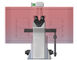 Live-Cell-Fig4_sml